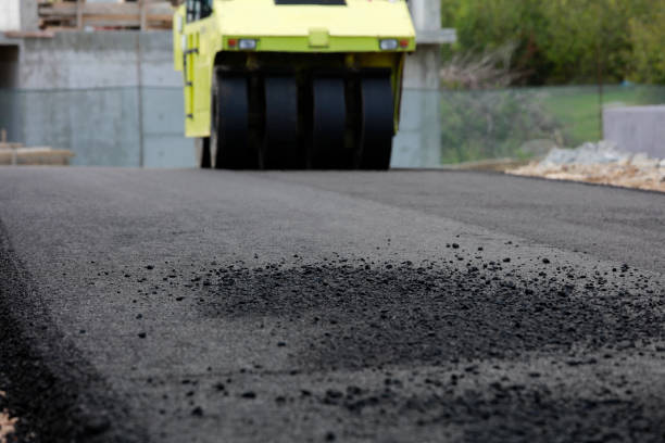 Best Professional Driveway Pavers  in Meadow Lake, NM