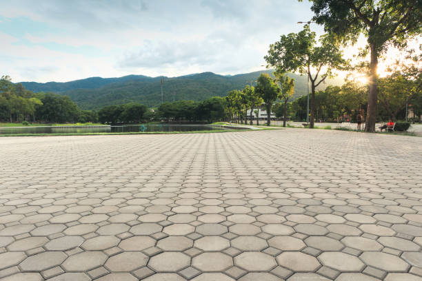 Best Concrete Paver Driveway  in Meadow Lake, NM