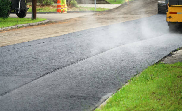 Best Custom Driveway Pavers  in Meadow Lake, NM